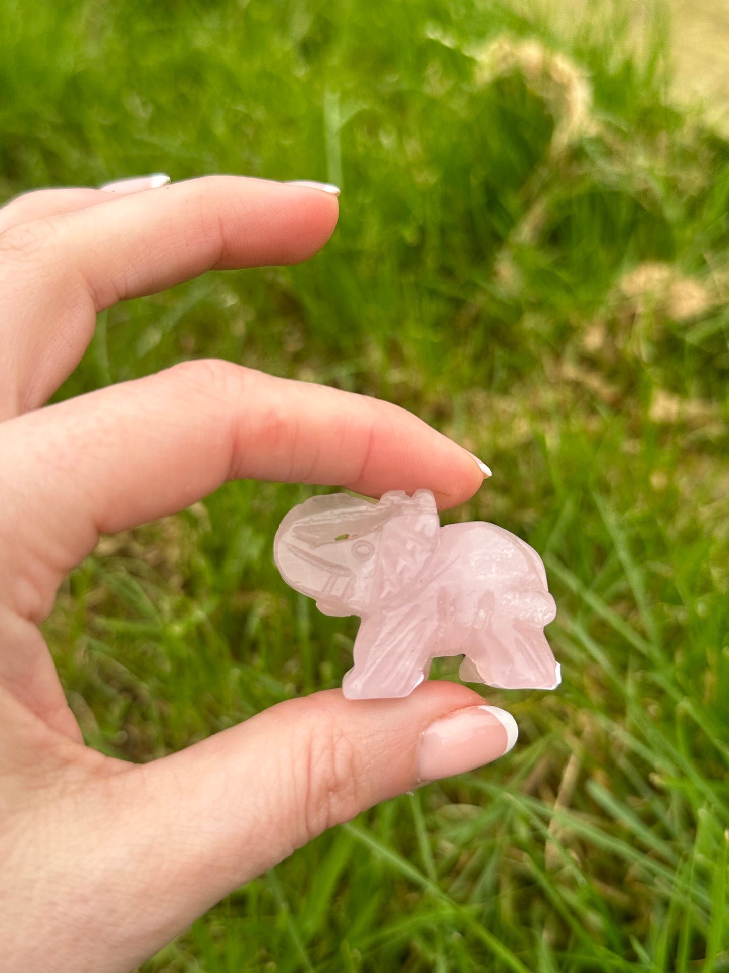 Rose Quartz Elephant