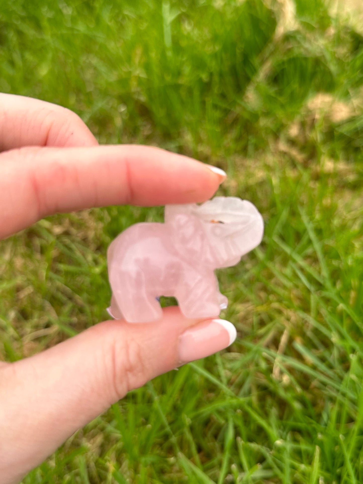 Rose Quartz Elephant