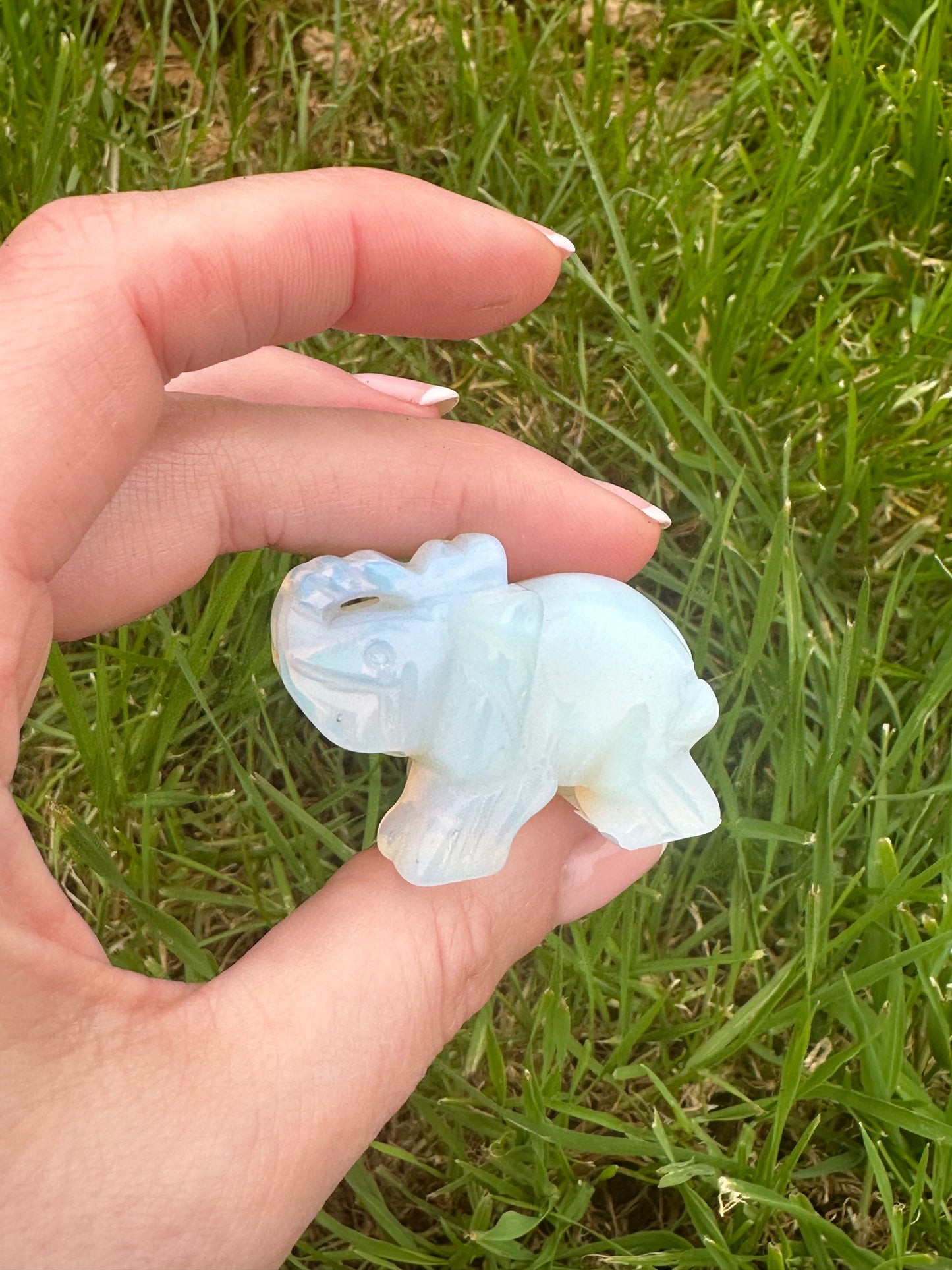 Opalite Elephant