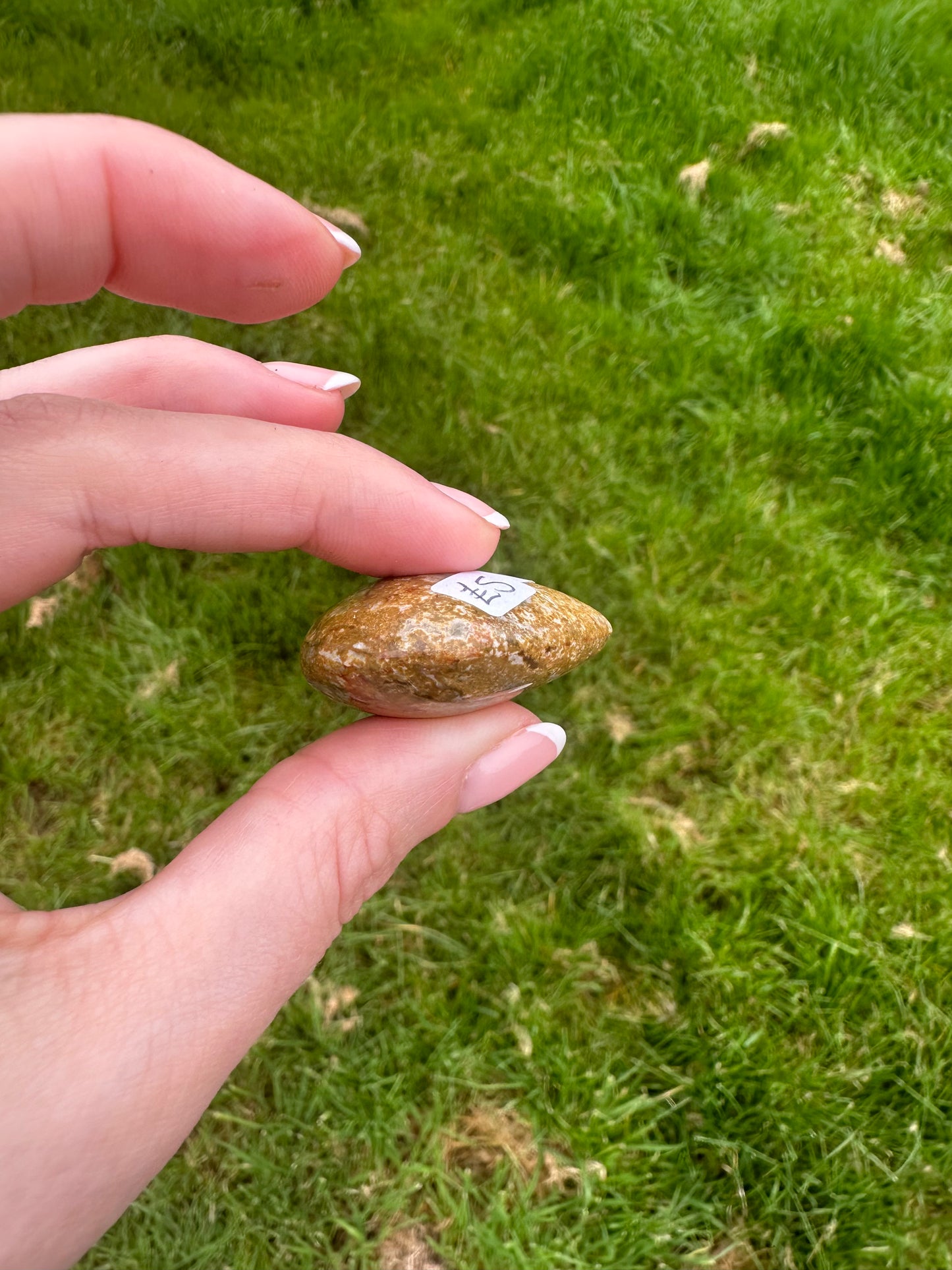Ocean Jasper Polished Heart (Small 84)