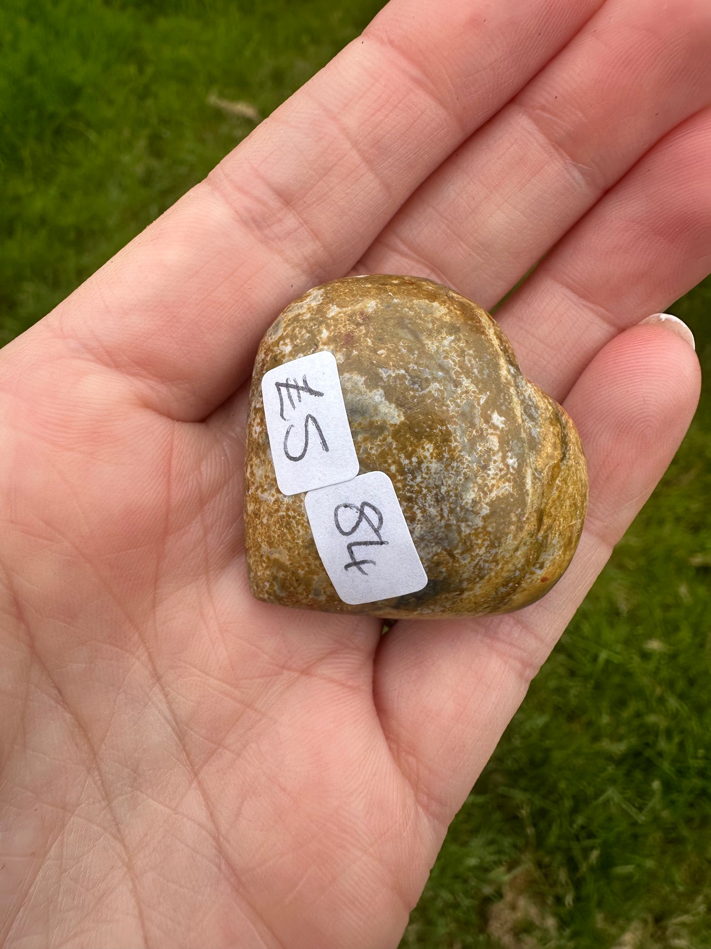 Ocean Jasper Polished Heart (Small 84)