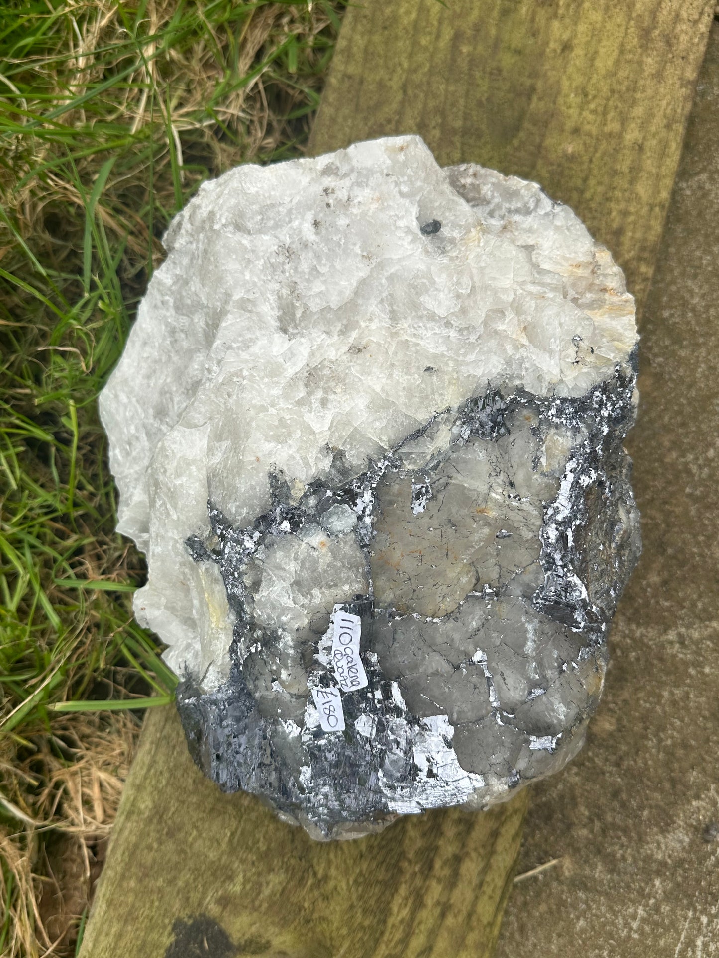 Galena and Quartz (Extra Large)