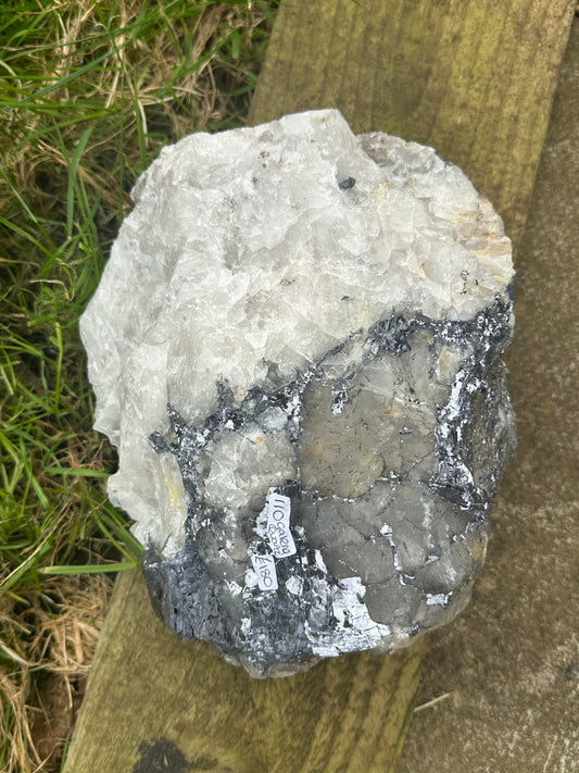 Galena and Quartz (Extra Large)