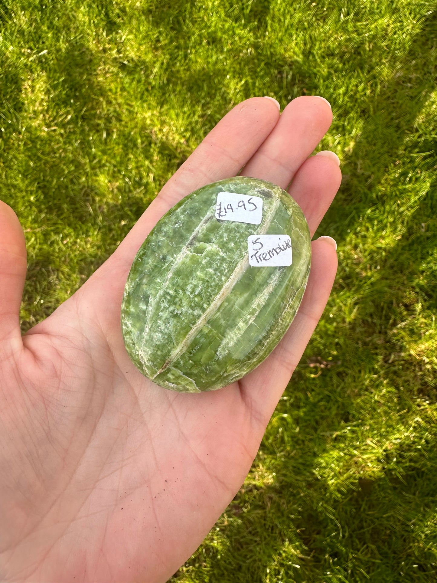 Tremolite Palmstone