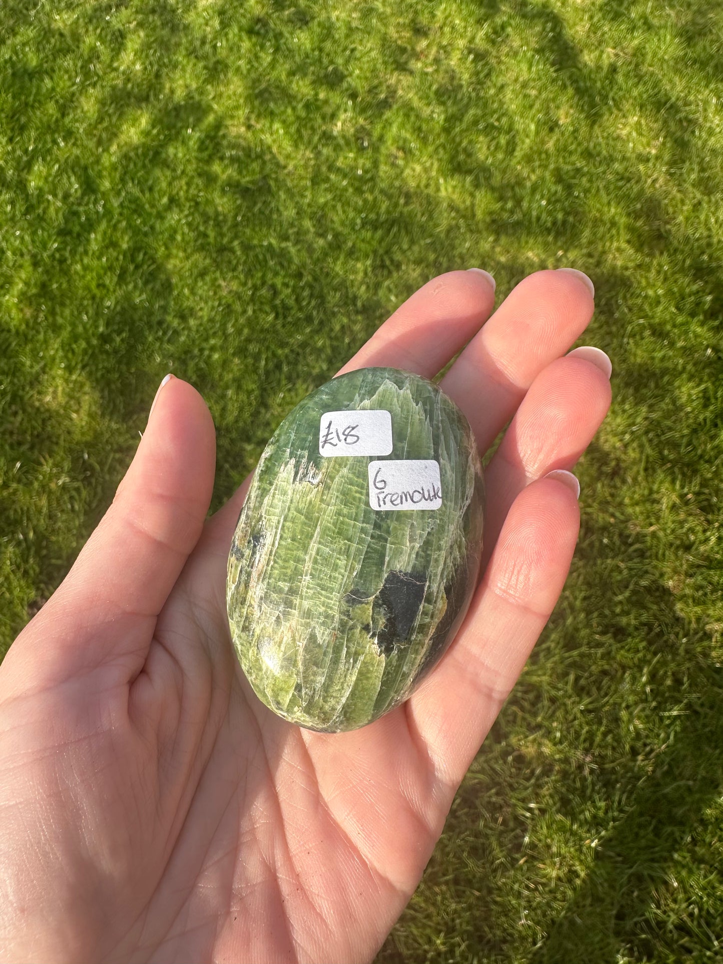 Tremolite Palmstone (6)