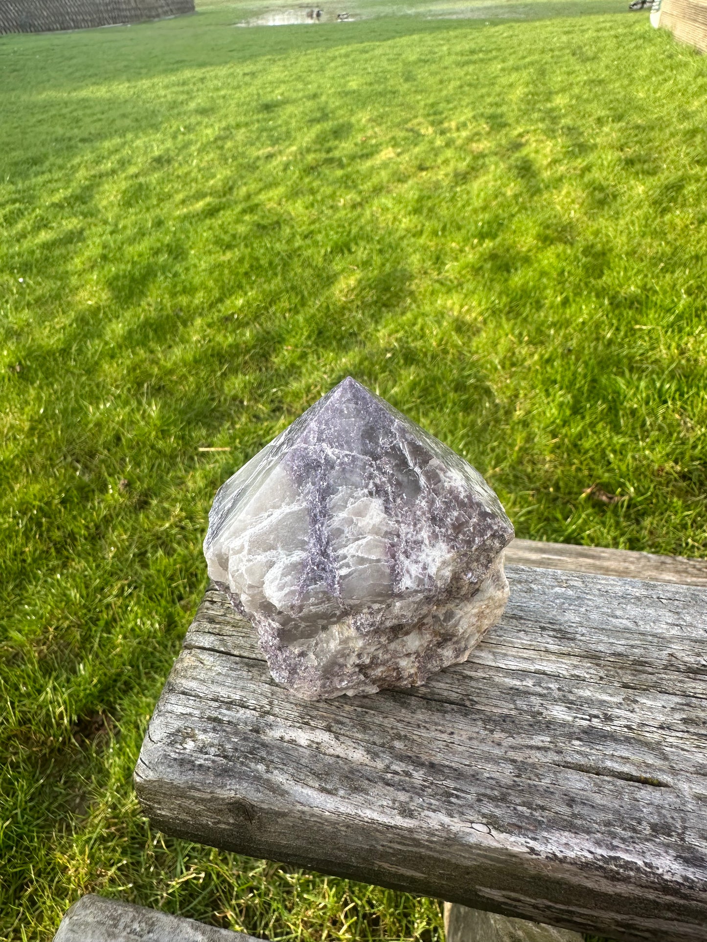 Lepidolite Rough Polished Point